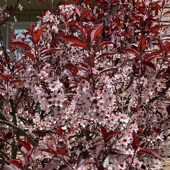 Meet your Posher, Wendy - Picture 1 of 1